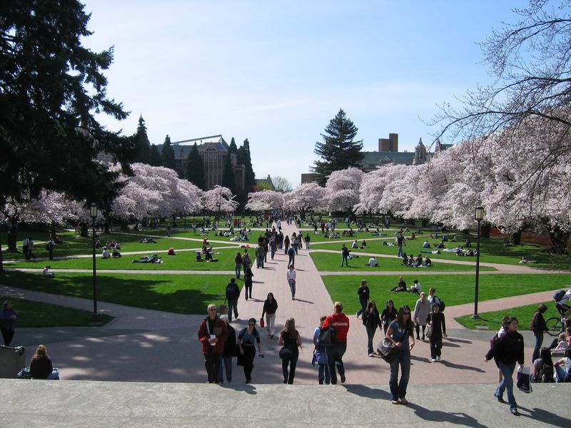Die Universität von Washington
