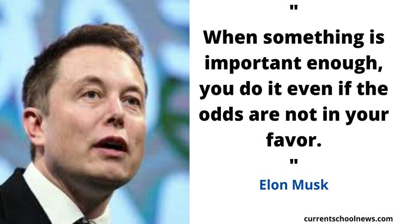 Elon Musk Zitate: Erfolg durch Inspiration